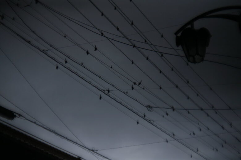 EOS 5D+FD50mm f1.4
