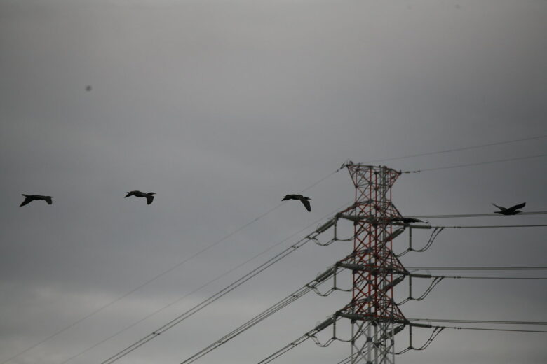 EOS 5D+EF100-300mm
