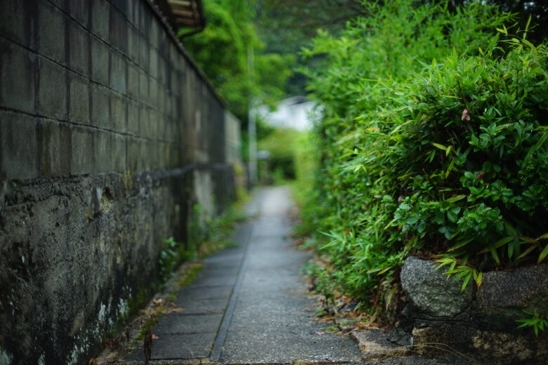 SONY α7+MC ROKKOR-PG 50mm f1.4