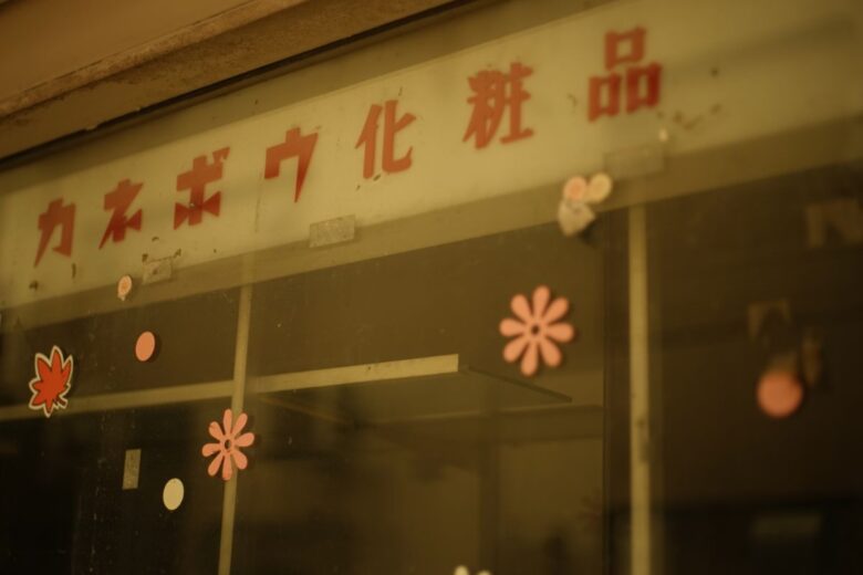 非Ai"Nikkor-H Auto 50mm F2×SONY α7