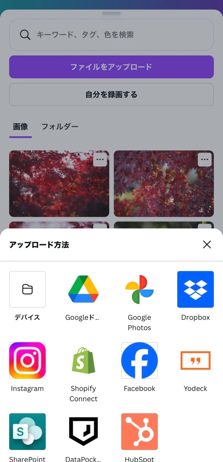ファイルをアップロード