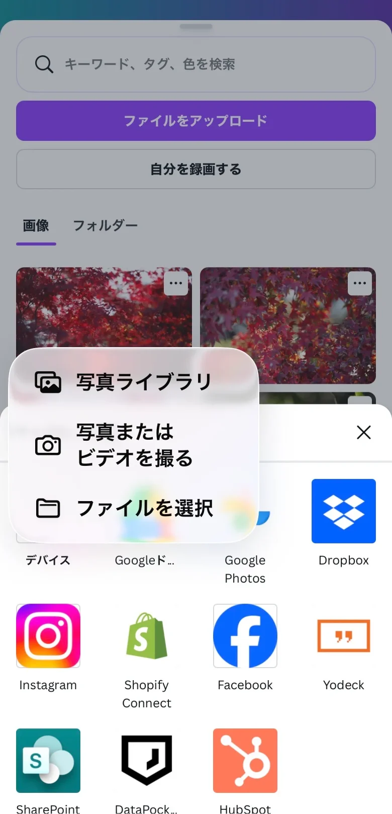 ファイルをアップロード