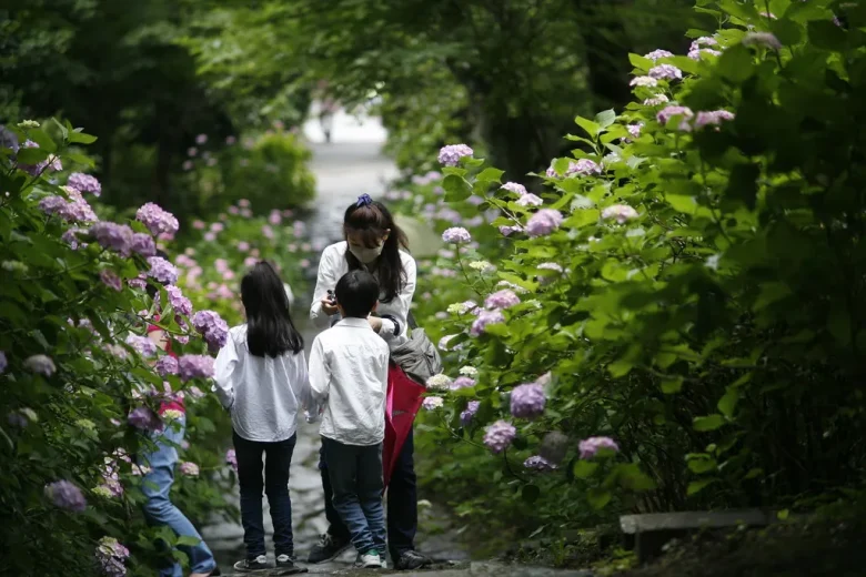 切られる前の写真