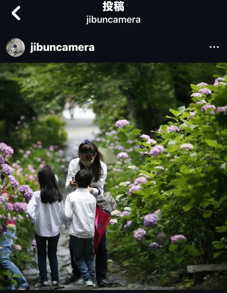 Instagramで切られた写真