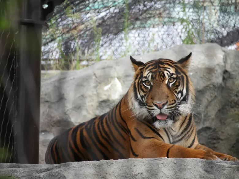 EOS M10+EF-M55-200mm F4.5-6.3 IS STM