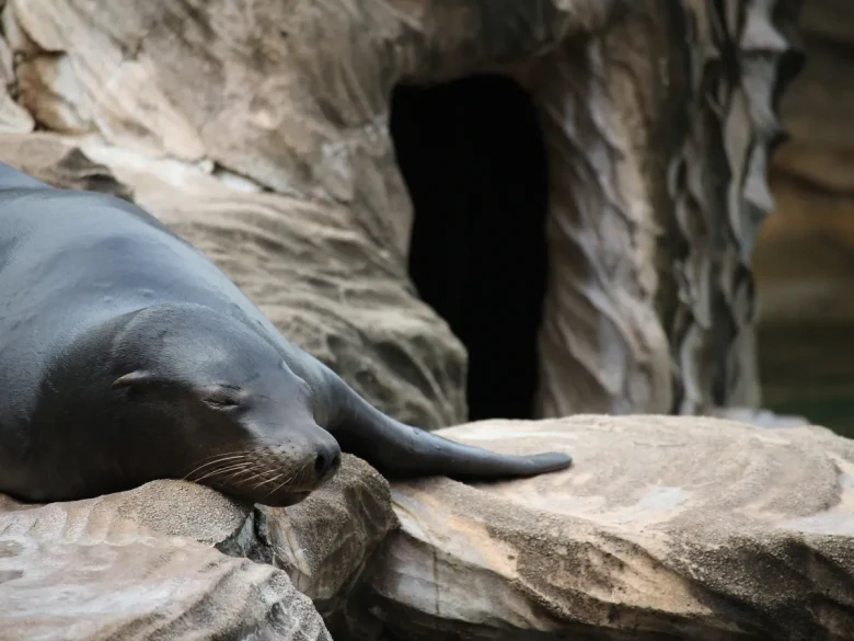 EOS M10+EF-M55-200mm F4.5-6.3 IS STM