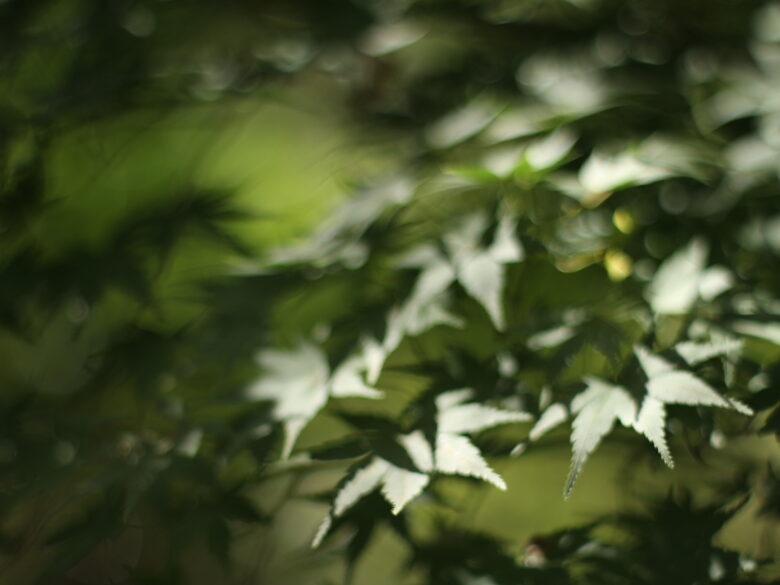 Canon EOS M10にオールドレンズを装着して撮影したエモい風景の作例