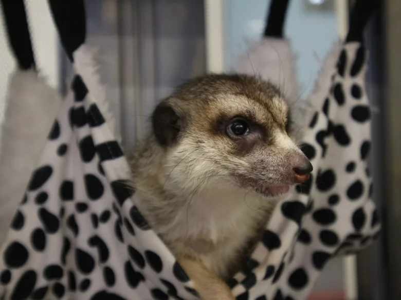 Canon EOS M10と曲がった鏡筒を手で戻したジャンクレンズEF-M15-45mm F3.5-6.3 IS STMで撮影した作例