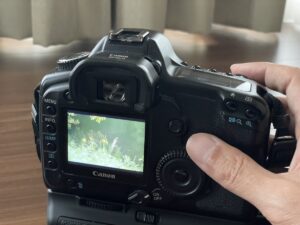 キヤノン中古デジタル一眼レフの背面。液晶画面が小さい。