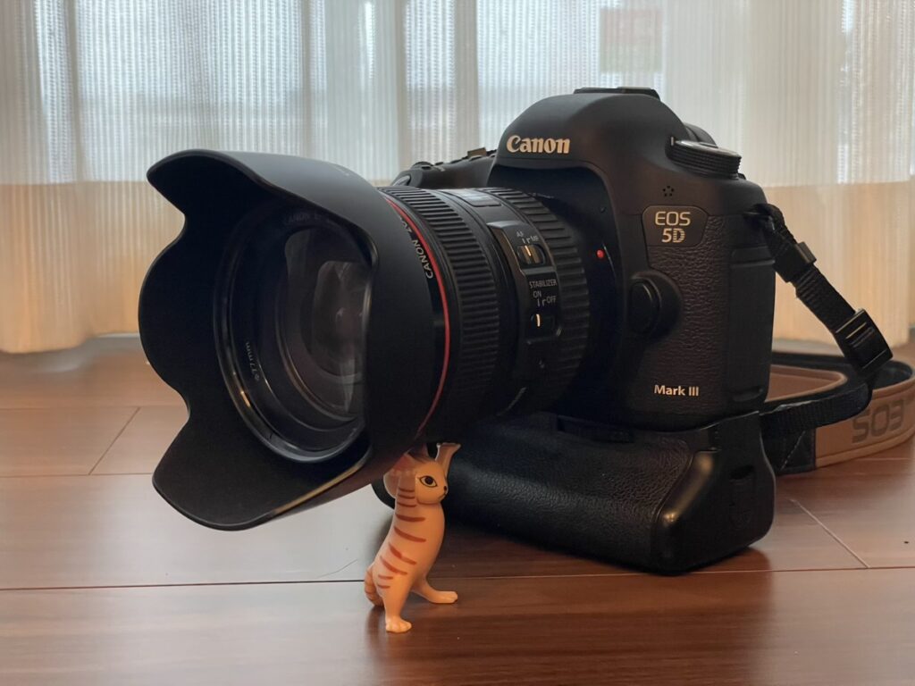 EOS 5D Mark IIIとEF24-105mm F4L IS USMの装着例