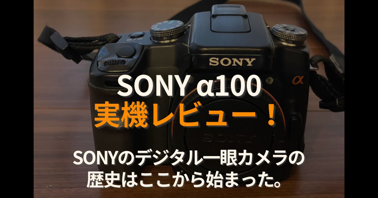 SONY α100 Review