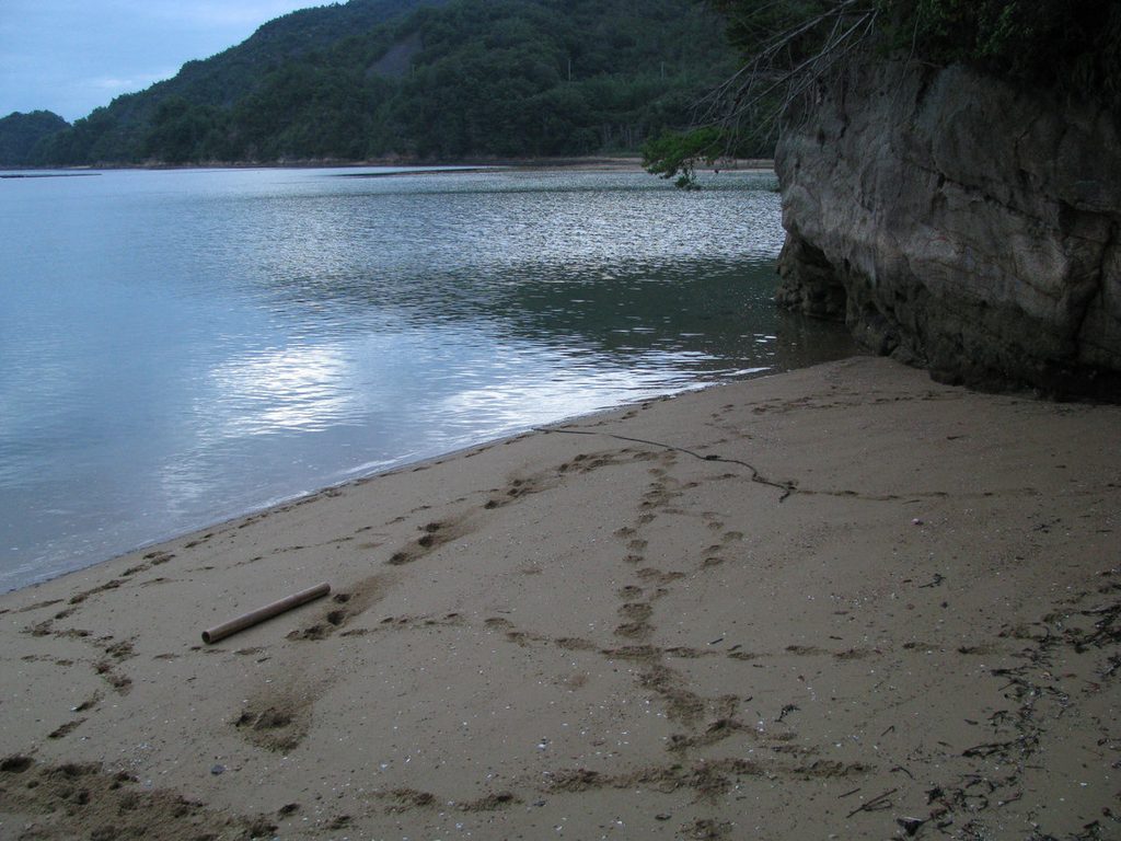 瀬戸内海の美しい砂浜。オールドコンデジで撮影した、どこか懐かしさを感じる海辺の風景写真。